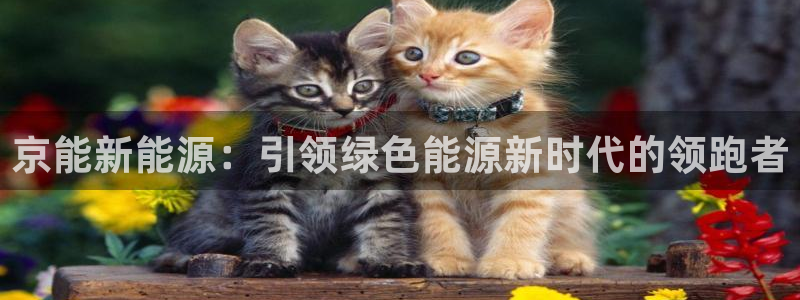 众腾娱乐