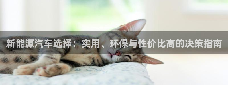 楚雄众腾娱乐是干什么的