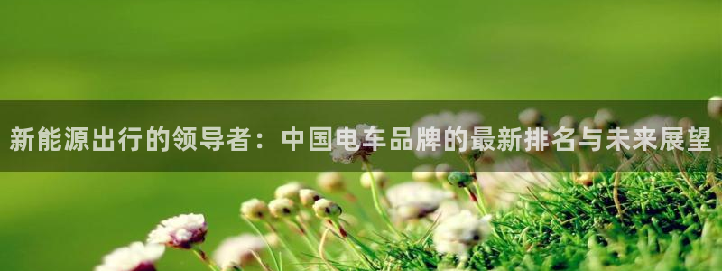楚雄众腾娱乐