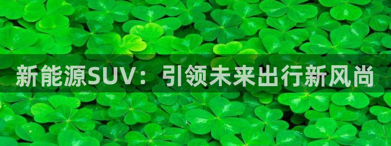 内蒙古众腾娱乐文化法人：新能源SUV：引