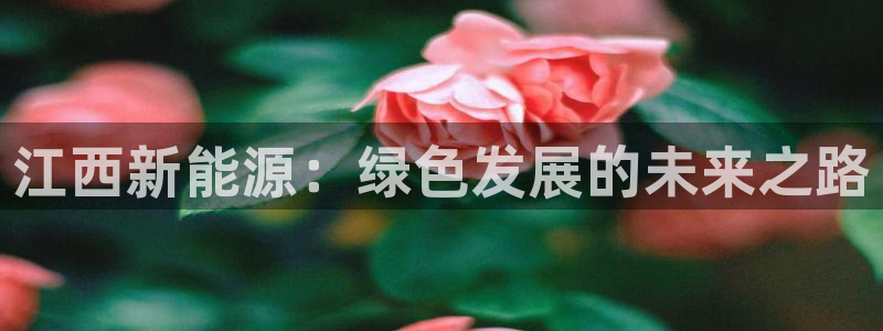 众腾娱乐app