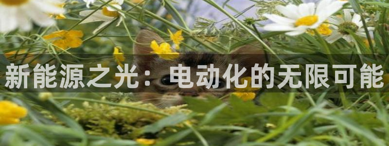 众腾娱乐博彩