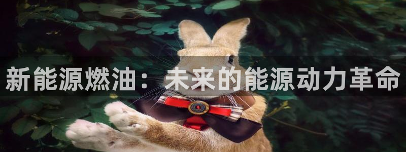 众腾娱乐招商：新能源燃油：未来的能源动力