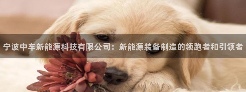 众腾娱乐平台下载
