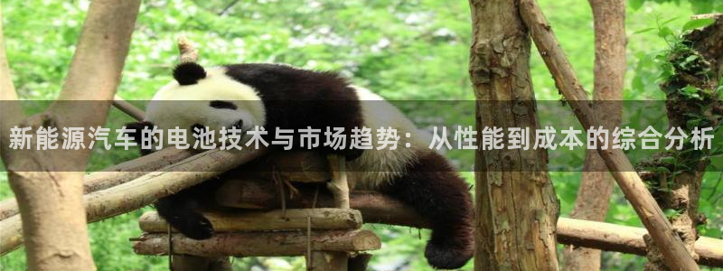 楚雄众腾娱乐在哪里:新能源汽车的电池技术与市场趋势:从性能到