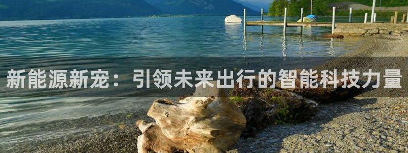 众腾娱乐下7O777:新能源新宠:引领未来出行的智能科技力量