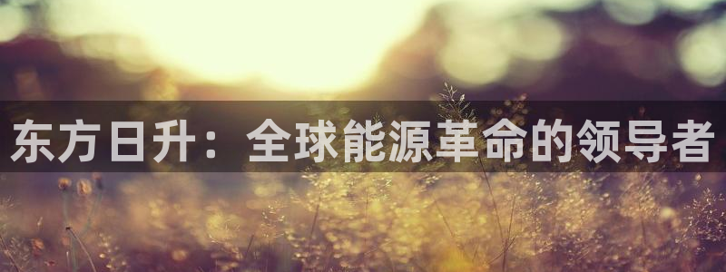 众腾娱乐客服:东方日升:全球能源革命的领导者