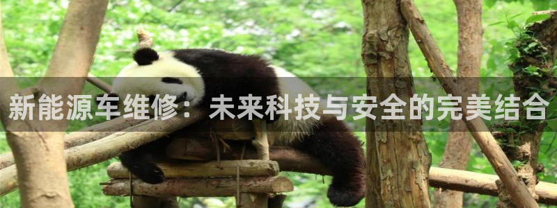 众腾娱乐公司简介:新能源车维修:未来科技与安全的完美结合