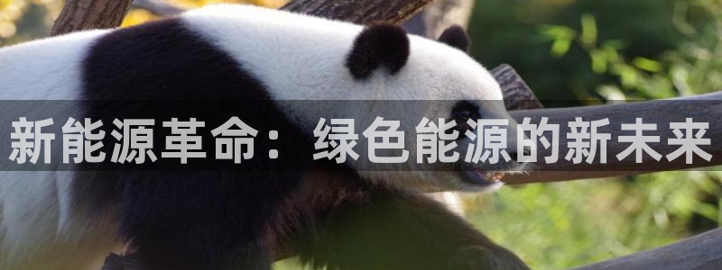 众腾娱乐:新能源革命:绿色能源的新未来