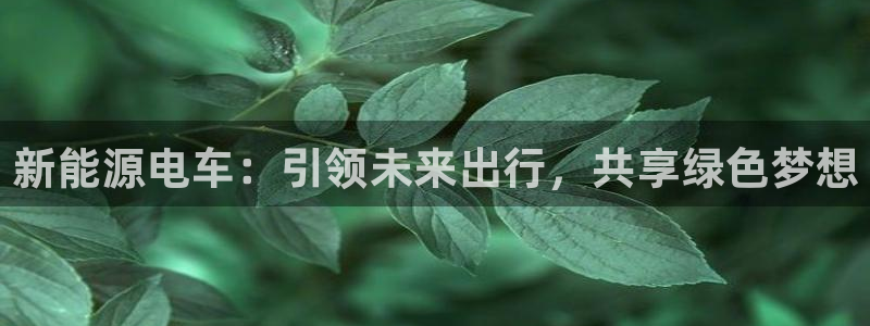 众腾娱乐登入探索无限空间:新能源电车:引领未来出行,共享绿色