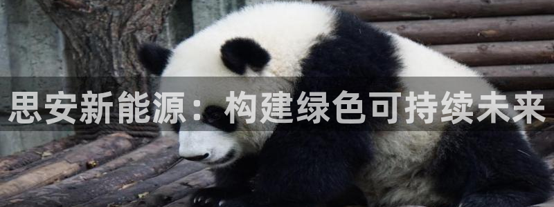 腾耀娱乐众推55312:思安新能源:构建绿色可持续未来