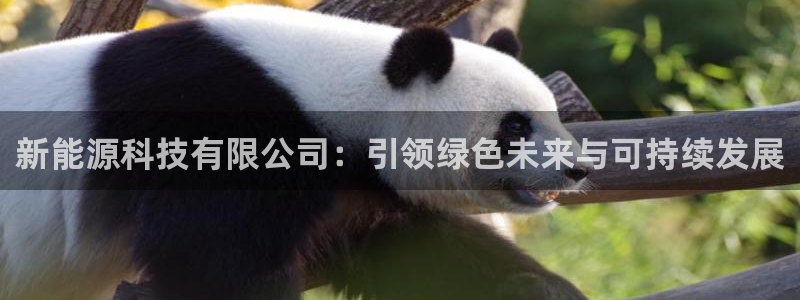 腾耀3娱乐众123:新能源科技有限公司:引领绿色未来与可持续