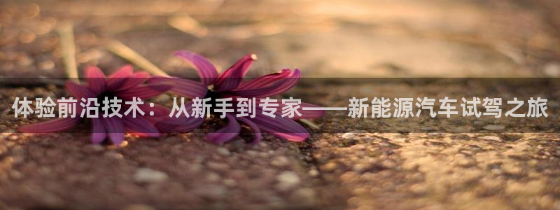 腾耀3娱乐众123:体验前沿技术:从新手到专家——新能源汽车