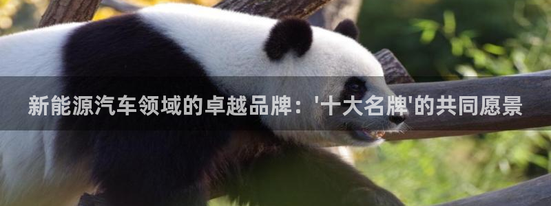 包头众腾娱乐密室逃脱:新能源汽车领域的卓越品牌:\