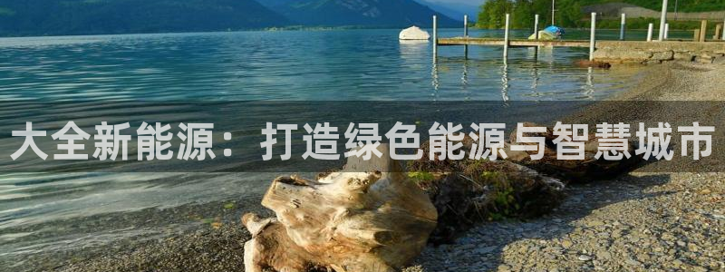 楚雄众腾娱乐在哪里:大全新能源:打造绿色能源与智慧城市