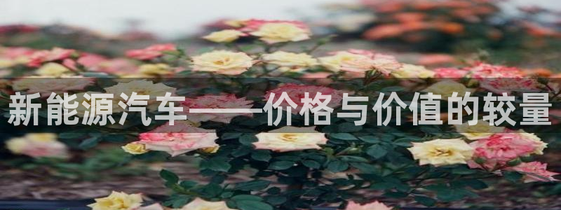 众腾娱乐集团有限公司:新能源汽车——价格与价值的较量