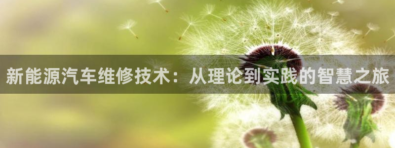 众腾娱乐总代理:新能源汽车维修技术:从理论到实践的智慧之旅