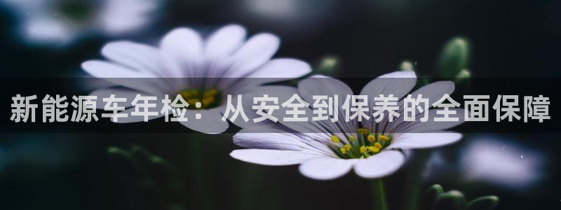 众腾娱乐集团有限公司:新能源车年检:从安全到保养的全面保障