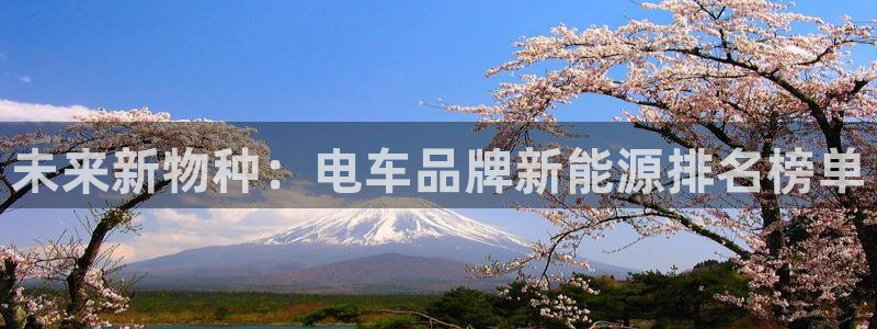 岳阳众腾ktv娱乐:未来新物种:电车品牌新能源排名榜单