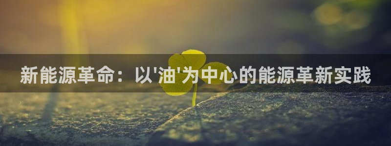 腾众娱乐彩票:新能源革命:以\