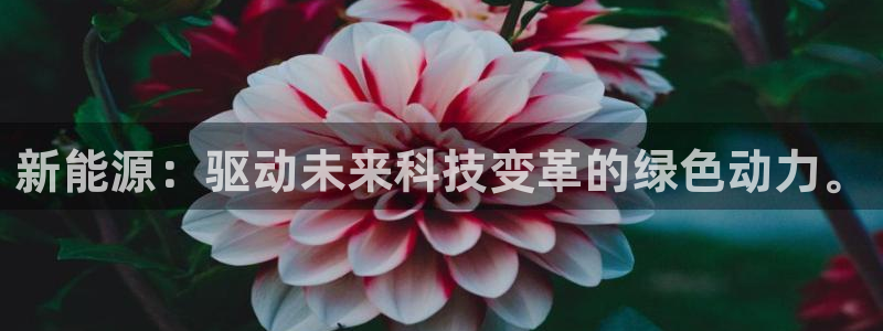 众东腾娱乐客服:新能源:驱动未来科技变革的绿色动力。