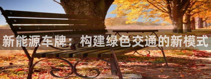 楚雄众腾娱乐:新能源车牌:构建绿色交通的新模式