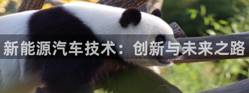 腾耀娱乐众320059:新能源汽车技术:创新与未来之路