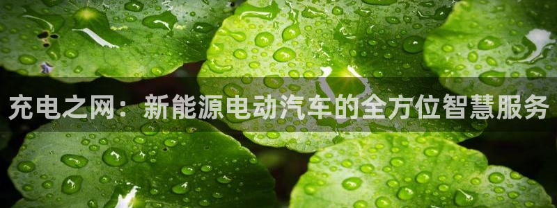 众腾娱乐扣款是正规的吗:充电之网:新能源电动汽车的全方位智慧