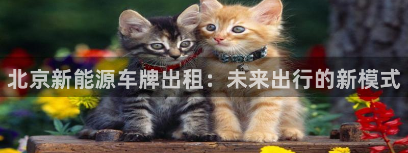 腾讯旗下的腾众娱乐:北京新能源车牌出租:未来出行的新模式