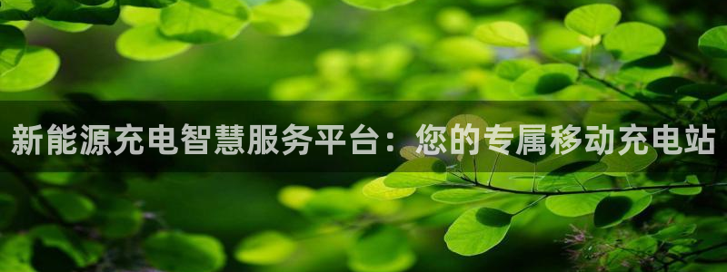 众腾娱乐毕 7O935:新能源充电智慧服务平台:您的专属移动