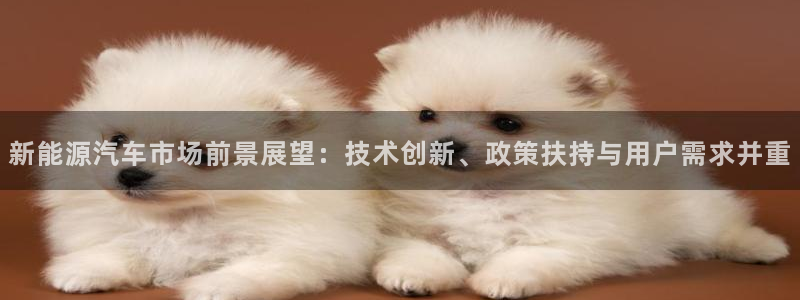 众腾娱乐招商:新能源汽车市场前景展望:技术创新、政策扶持与用