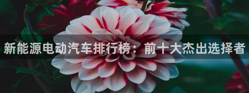 包头众腾娱乐:新能源电动汽车排行榜:前十大杰出选择者