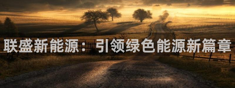 腾耀3娱乐众123:联盛新能源:引领绿色能源新篇章