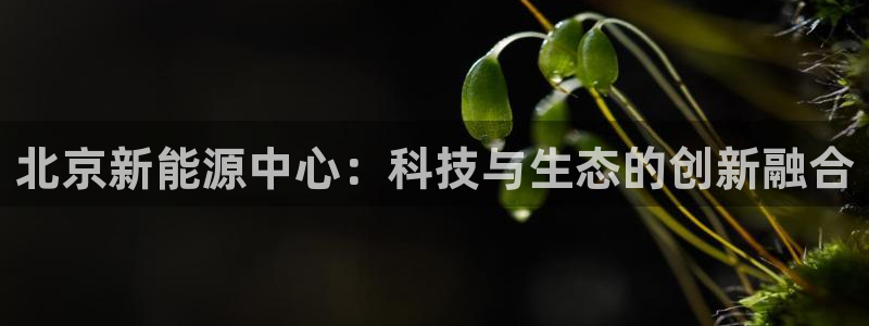 众东腾娱乐客服:北京新能源中心:科技与生态的创新融合