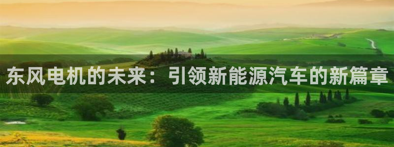 众腾娱乐文化怎么样:东风电机的未来:引领新能源汽车的新篇章