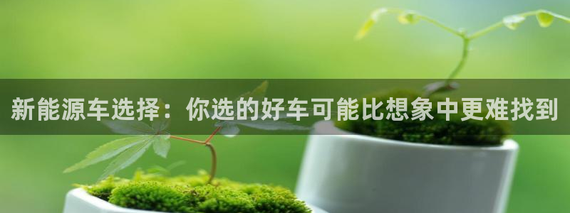 众腾娱乐得7O777:新能源车选择:你选的好车可能比想象中更